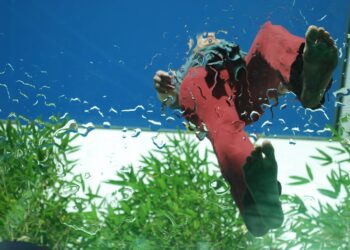 The Midst of Silence brings Answers