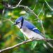 Leaving Trouble Behind – Poetic Pauses