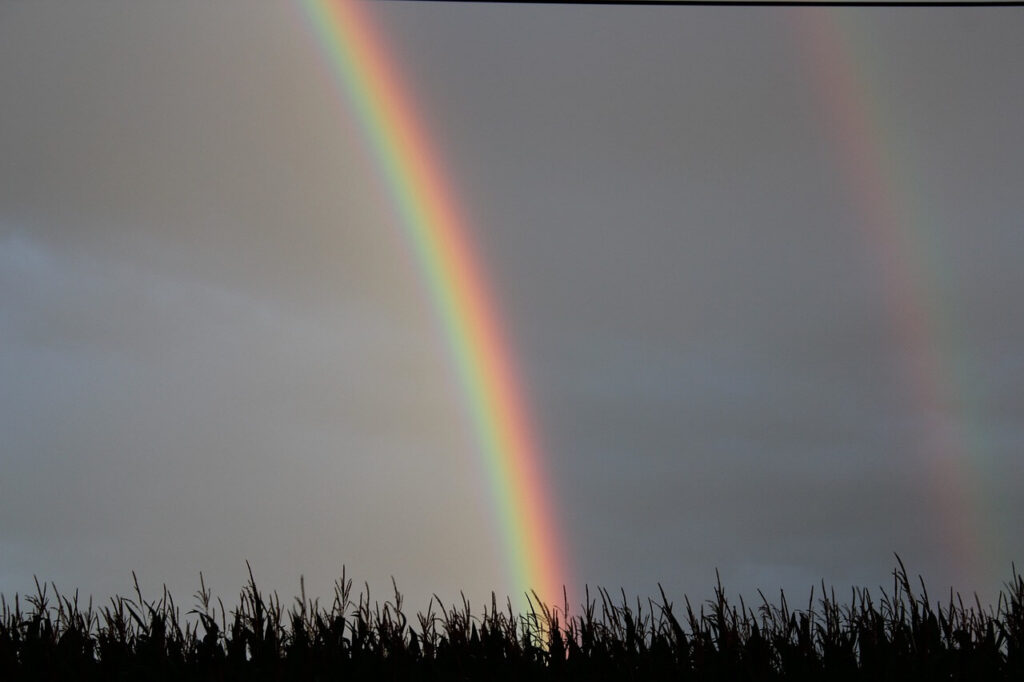 Rainbow - Poetic Pauses