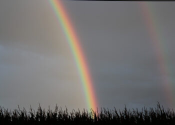 Rainbow - Poetic Pauses