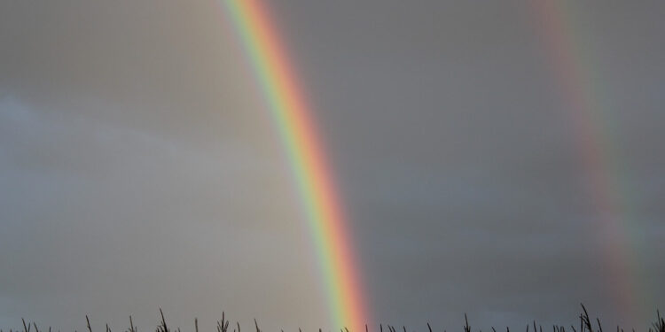 Rainbow - Poetic Pauses