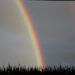 Rainbow - Poetic Pauses