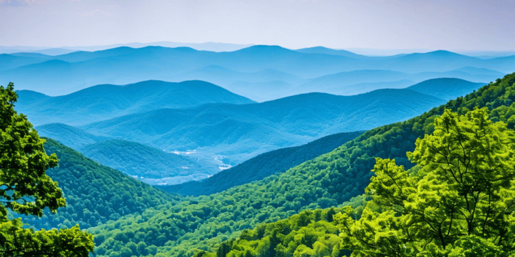 Dimple Times Visits the Blue Ridge Mountains