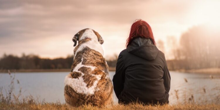 Tips for a dog-friendly vacation