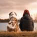 Tips for a dog-friendly vacation