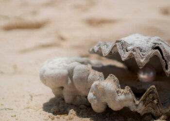 Trying on some Pearls