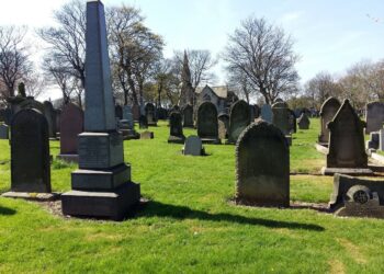 You Haven’t Done Anything Wrong